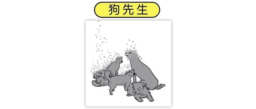 冬天的流浪狗为什么越来越少？知道原因的我哭了......