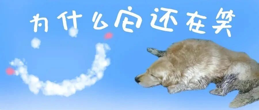金毛被人砍断手脚丢到烂泥地里，见到陌生人依然努力微笑