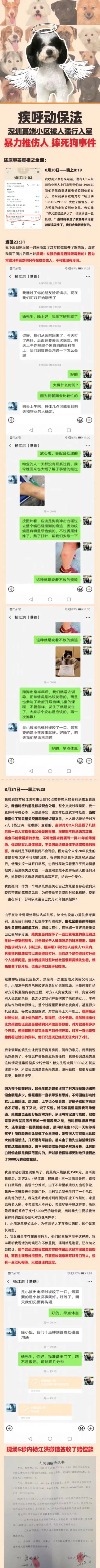 深圳高端小區強行入室，暴力毆打戶主，活活摔死小狗... 寵物 第2張