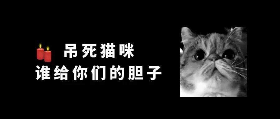 谁给物业的胆子，把业主的猫吊死在小区？