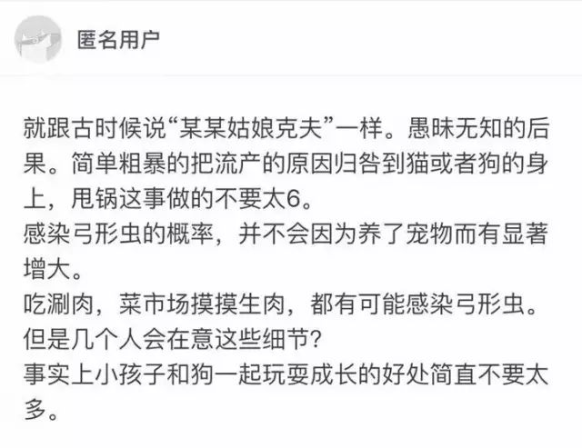 懷孕養狗會流產，這鍋我們狗狗不背！ 寵物 第3張