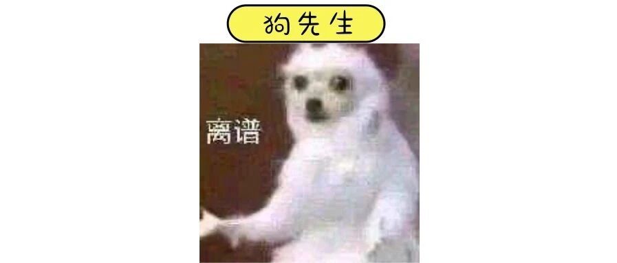带狗自驾旅行，怎么设计旅行线路？