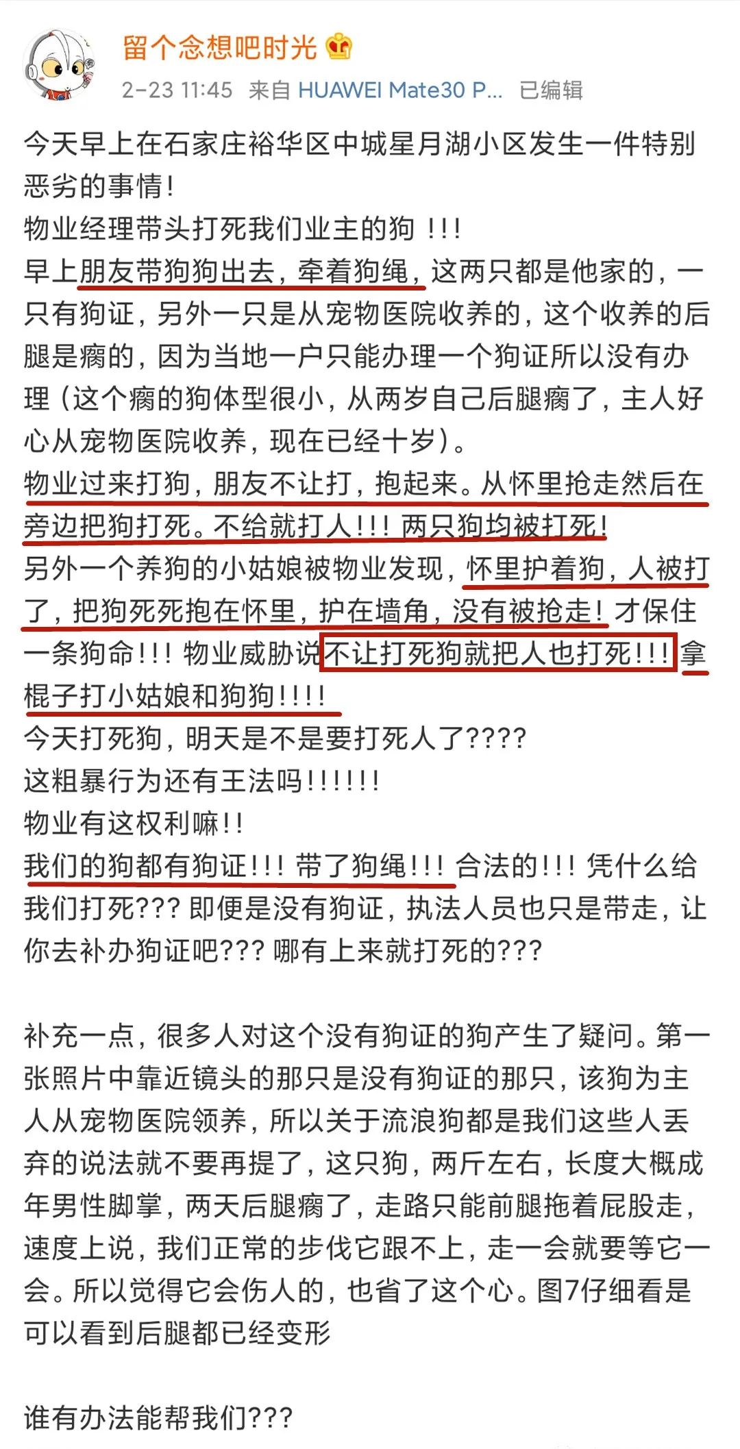 物業打死了我的狗 寵物 第12張