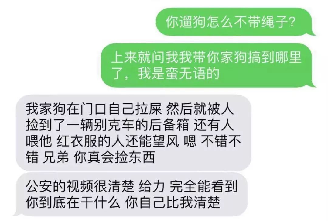 我做錯了什麼？救狗反被當成偷狗賊？？？ 寵物 第11張