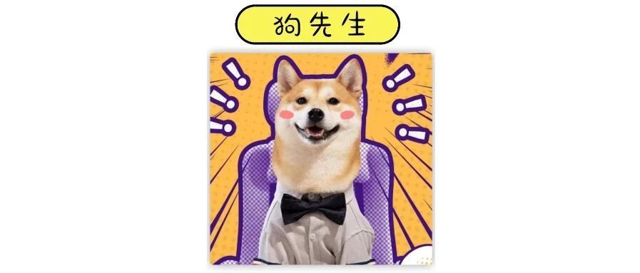 这只狗的直播有20万人围观？？？