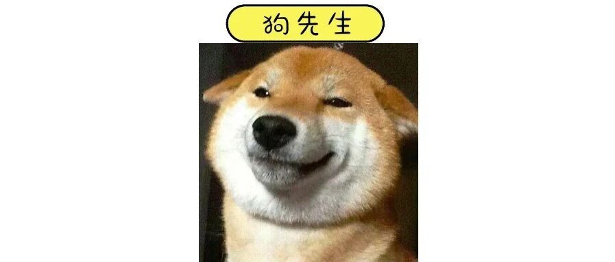 有没有发现，你的狗狗在偷偷爱你！