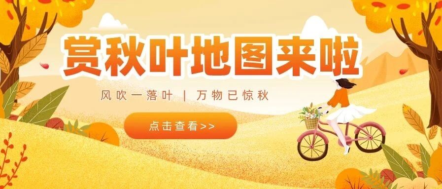 全国赏秋叶地图出炉！快来康康哪儿是周末赏景好去处