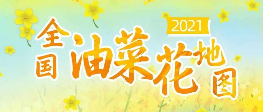 一沐春风万顷黄！全国油菜花地图看哪里花开正艳？