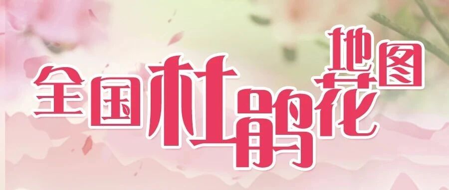 映山红遍!2021全国杜鹃花地图出炉!看哪里花开遍野?