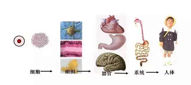 怎么制备氧正离子负氧离子——空气“维生素”_https://www.jmylbn.com_新闻资讯_第9张