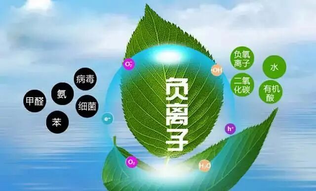 怎么制备氧正离子负氧离子——空气“维生素”_https://www.jmylbn.com_新闻资讯_第3张