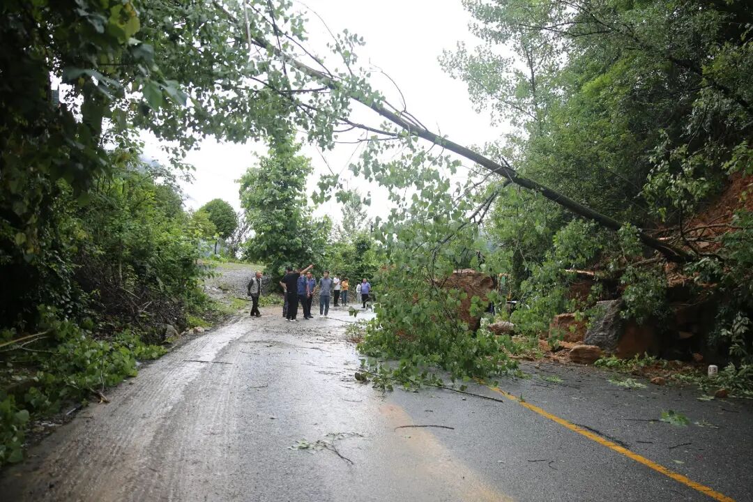 记野三关的养路工 全网搜