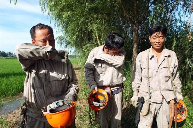 7月19日,江蘇蘇州昆山供電公司員工頭頂高溫在千燈鎮(zhèn)石浦地區(qū)387秦石線開展停電搶修工作4.jpg 圖片