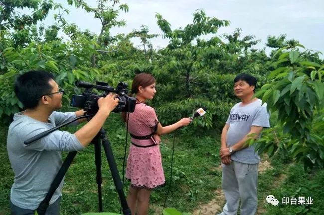 陕西农林卫视致富故事会_农林卫视致富经_陕西农林卫视致富经