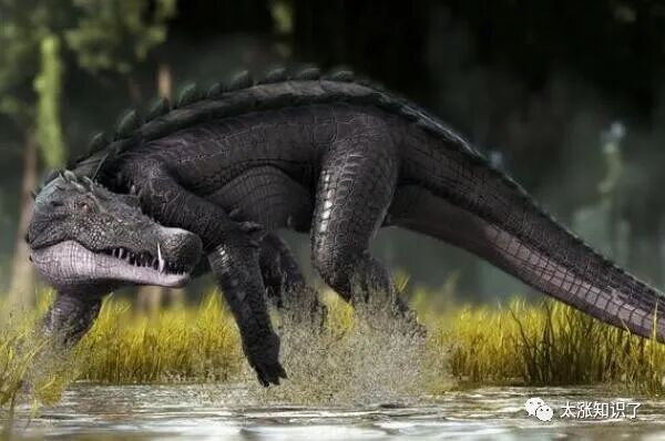 地球远古十大灭绝动物排行榜