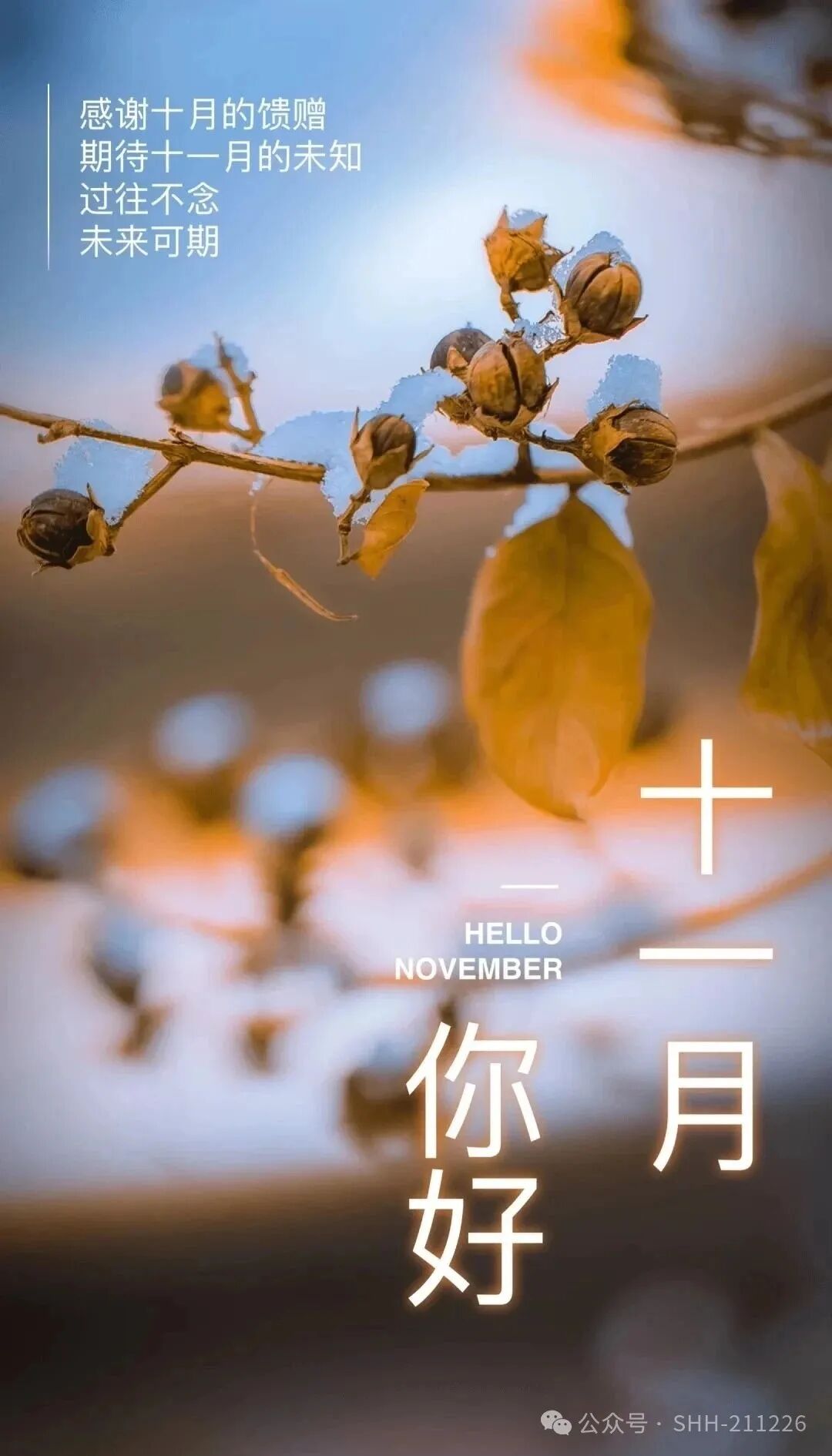 十月再见 十一月你好！