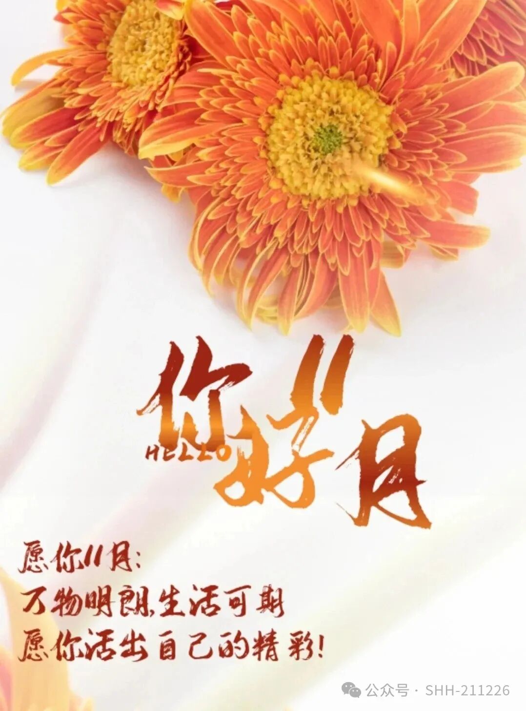 十月再见 十一月你好！