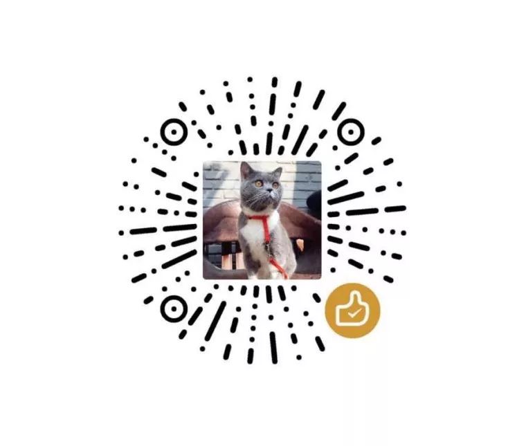 意思是英語怎么讀音_意思是英語怎么讀_position是什么意思?怎么讀