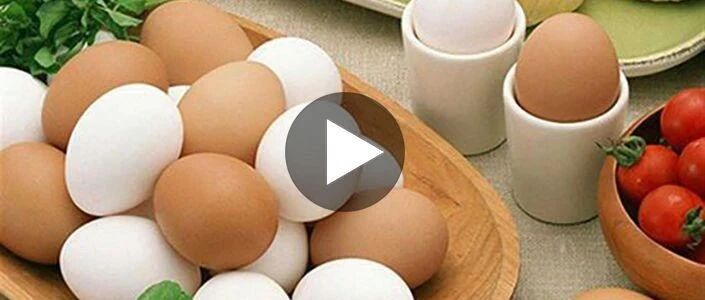 吃了半辈子鸡蛋，才知道“红壳蛋”和“白壳蛋”的区别，早看早受益！