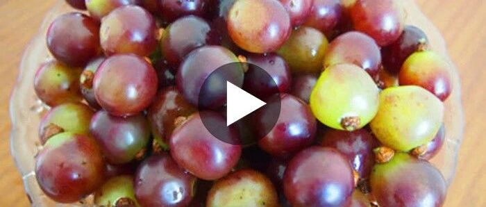 葡萄虽好，4种食物不能和它一起吃，吃不好可能患上大脖子病！