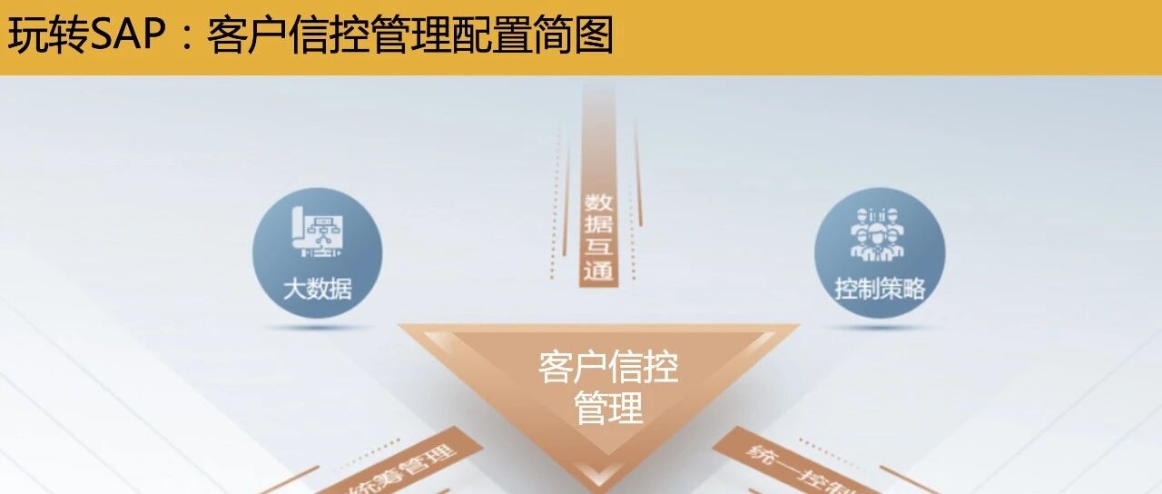 玩转 SAP 客户信控管理的配置简图 - 封面图