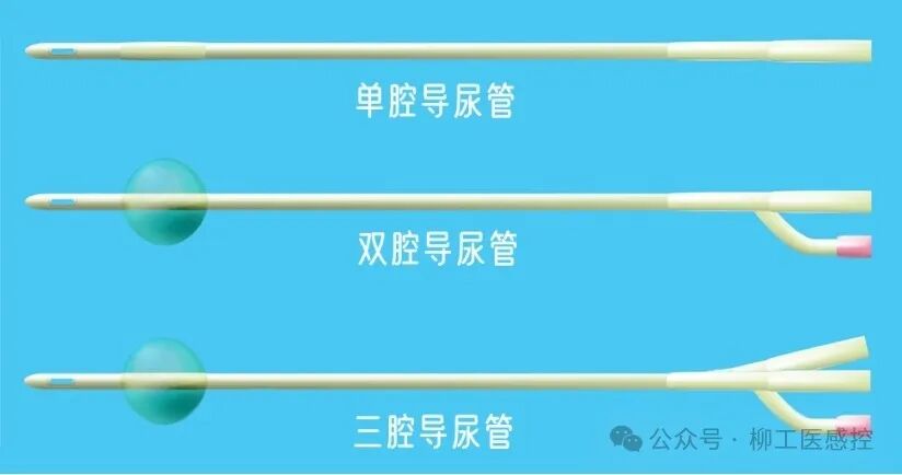 导尿管上fr是什么意思小小导尿管更换也有大大的学问？不同患者不同选择！_https://www.jmylbn.com_新闻资讯_第4张