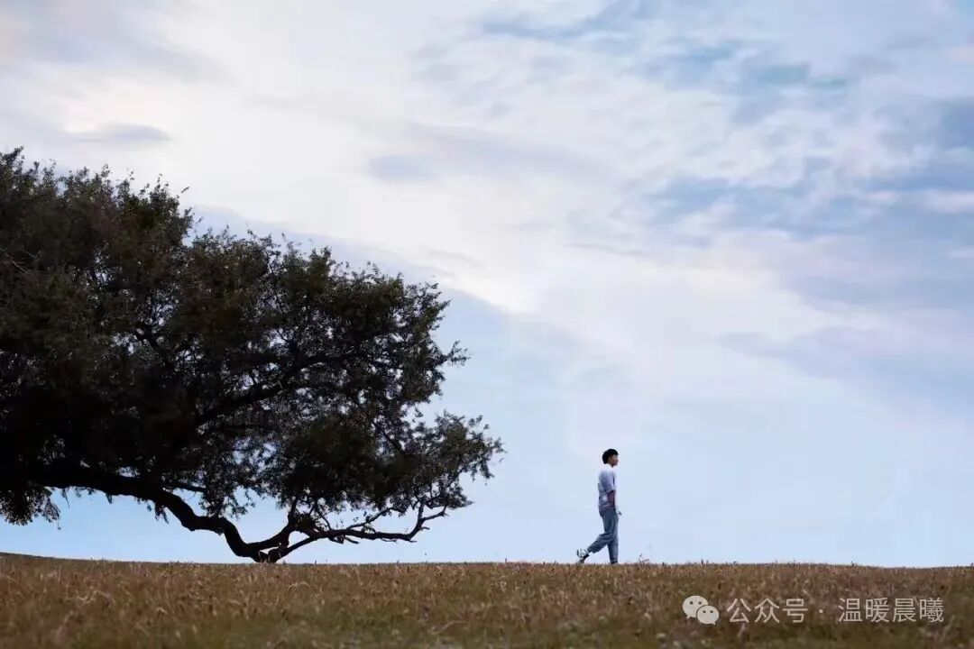 现在社会压力大，老百姓的戾气越来越重，要多加疏导！