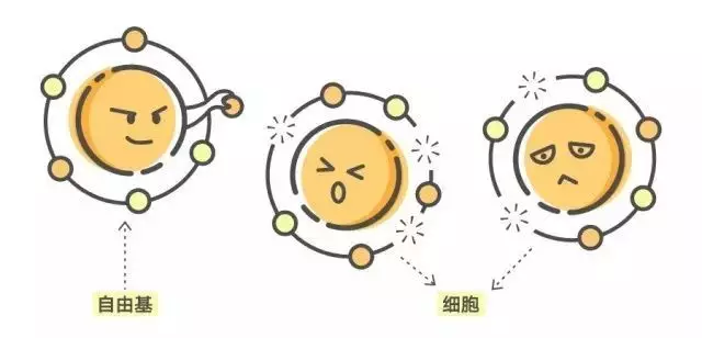 美肌守护战，夜间抗氧化全靠TA！