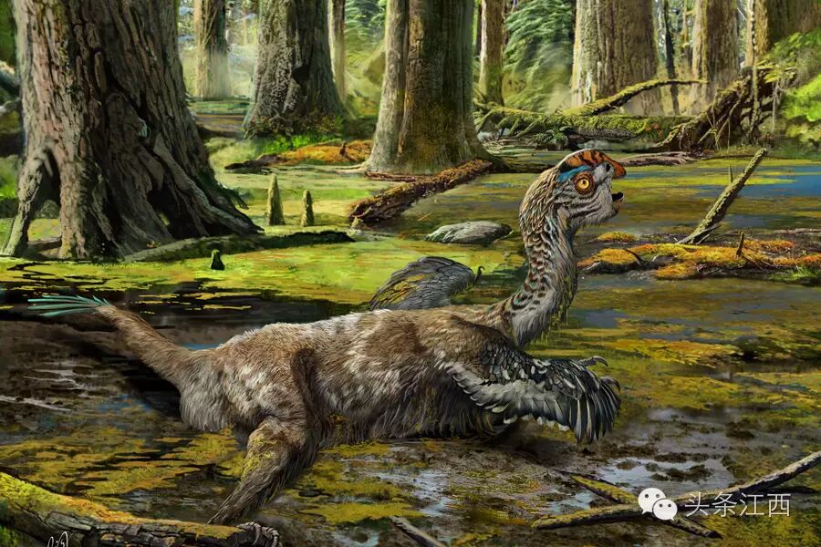 "泥潭通天龙"复原图.(赵闯 绘制)