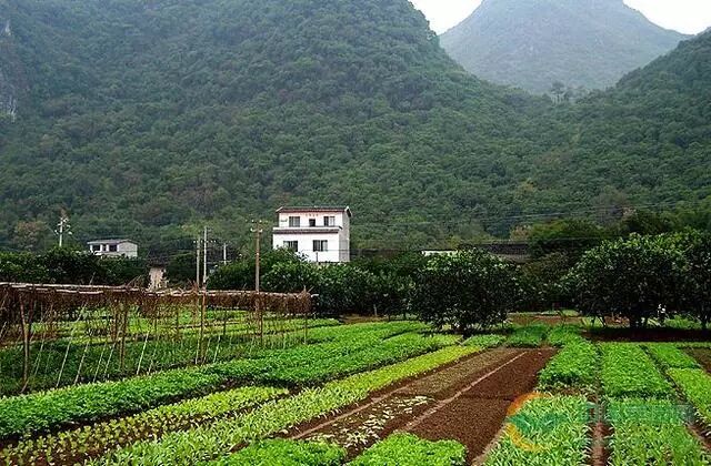 省份南京属于哪个省_南京属于哪个省份_南京是属于省还是市