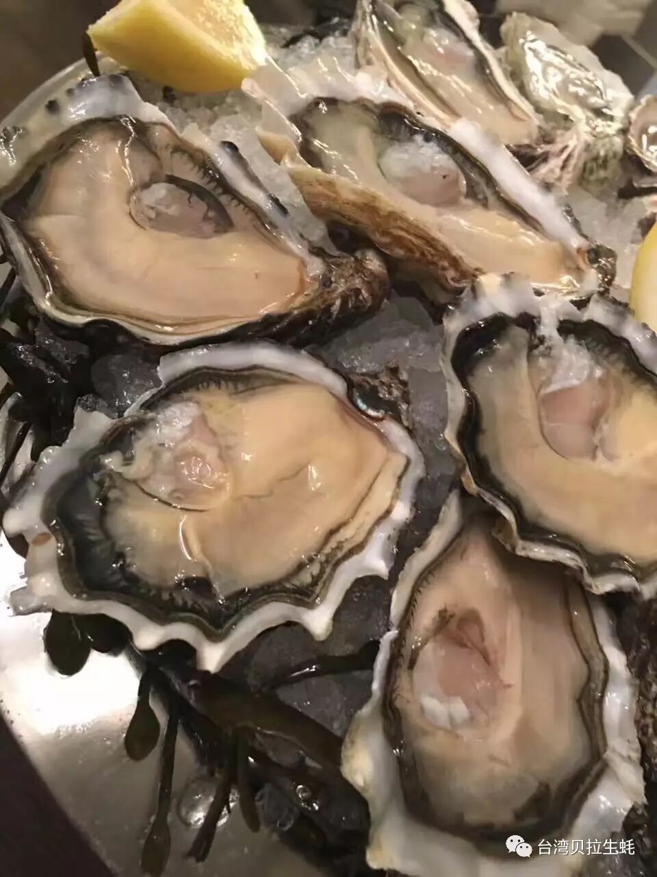 你知道生蚝的营养价值吗