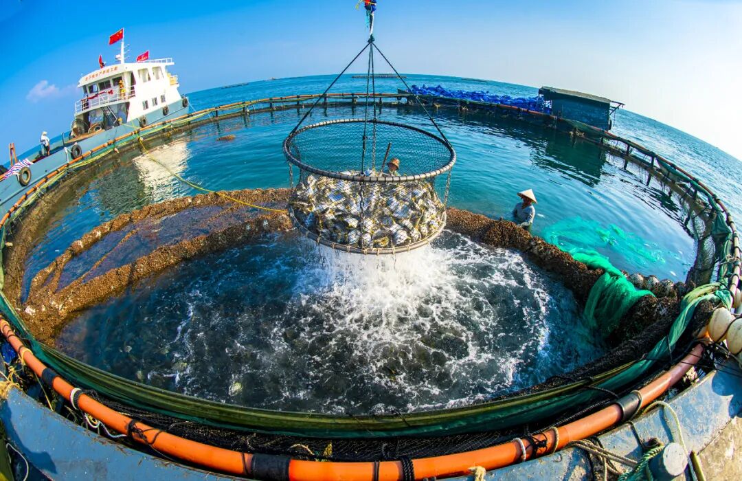 两会解读丨向海图强银海区唱响现代特色海洋牧歌