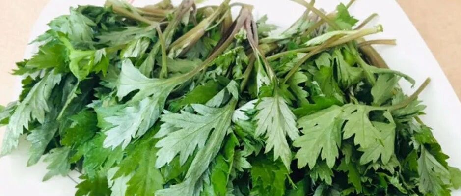 清明野菜赛“黄金”，这38种最鲜美，千万别挖错