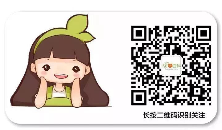 廚房擺盆它，吸油煙除異味，空氣清新身體好！ 家居 第46張