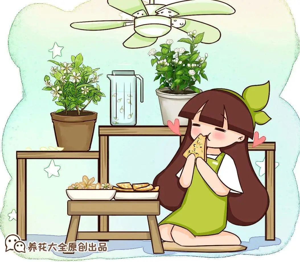 香飘飘的花，吃一口满嘴花香，再不吃就没了
