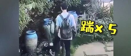 景区踹断仙人掌，网红花草被踩秃…辣手摧花太心痛！