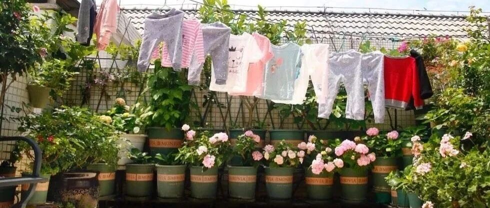 别人家的二胎妈妈，养娃养花，种菜画画做美食，精致生活，网友羡慕哭