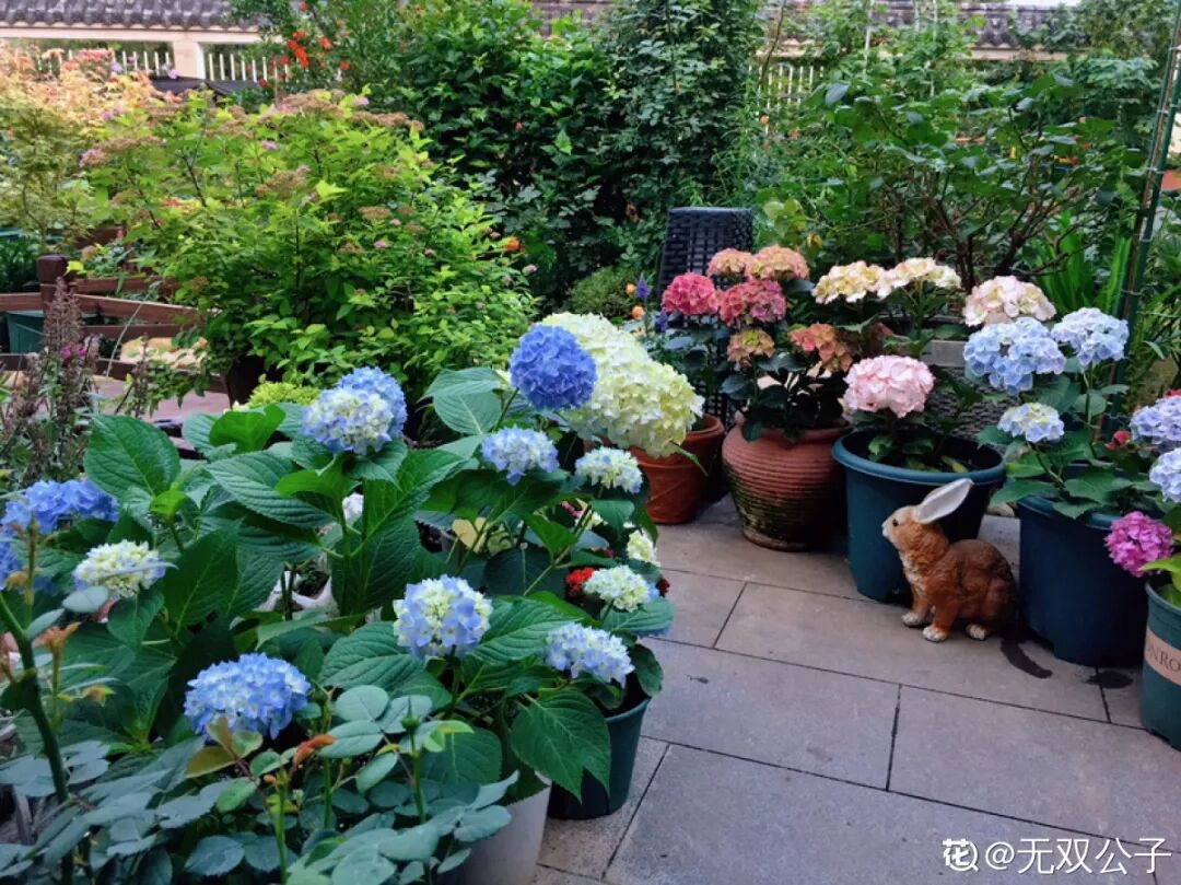 家里的花别乱摆，小心招来大麻烦！