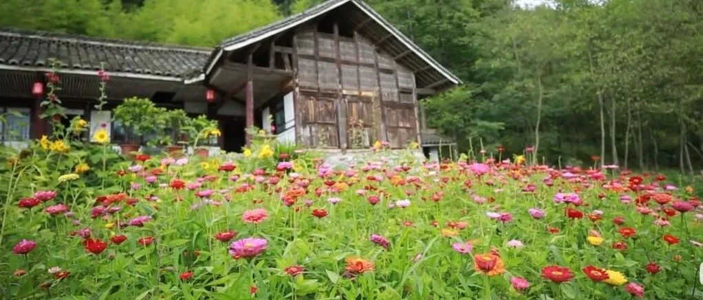 走，一起回乡下，养花种菜去！