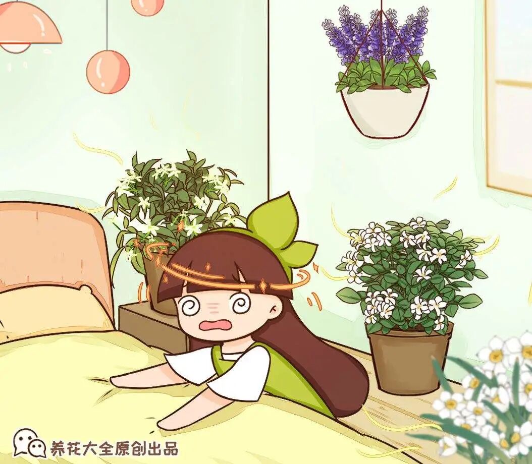 10种花家里慎养 开花有股怪味 闻久了头晕 养花大全微信公众号文章