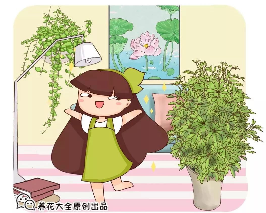 她把100盆花搬進家，客廳廚房變花園，朋友來了不想走！ 家居 第2張