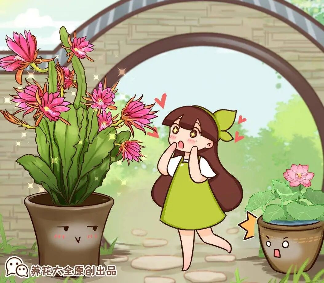 12种花不用买 叶子掉土里就生根 不用扦插 满盆都是芽 教你网赌网站维护提不了款处理方法 忘赌吧