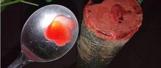 养花的偏方不少，这么省钱的，头一次见