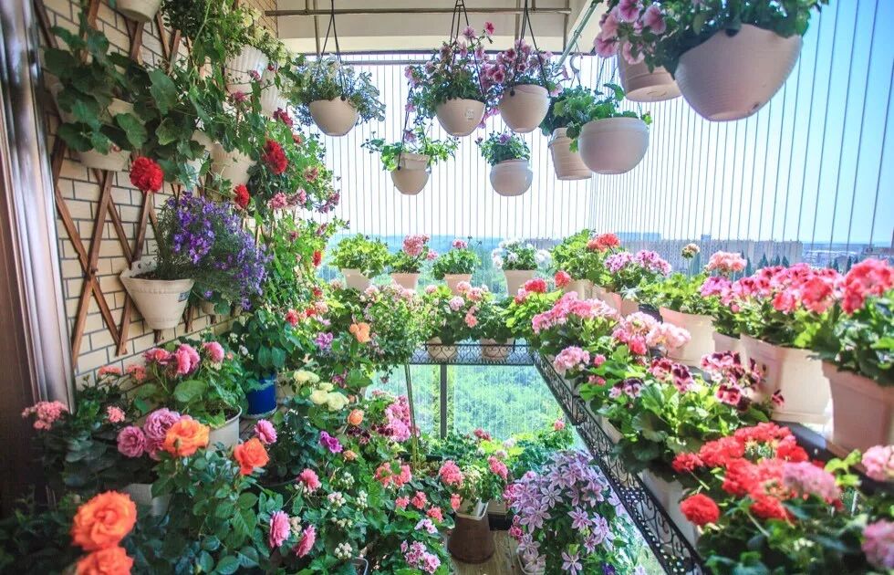 家里的花别乱摆，小心招来大麻烦！