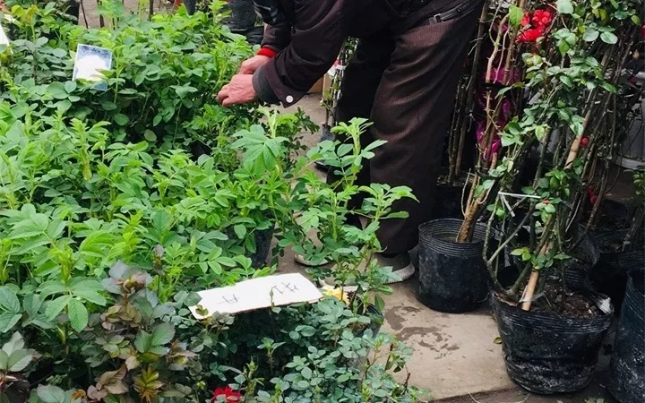 768b62cfgy1g1estoewcpj20u01hc7wh (1)_看图王.jpg