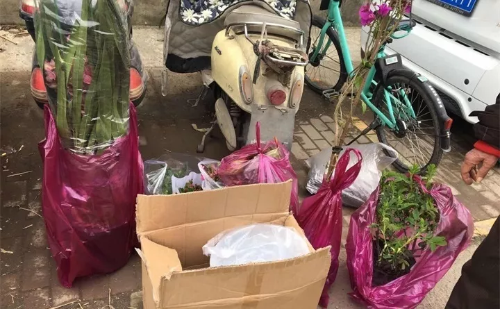 768b62cfgy1g1estoptjzj21400u0ae9 (1)_看图王.jpg