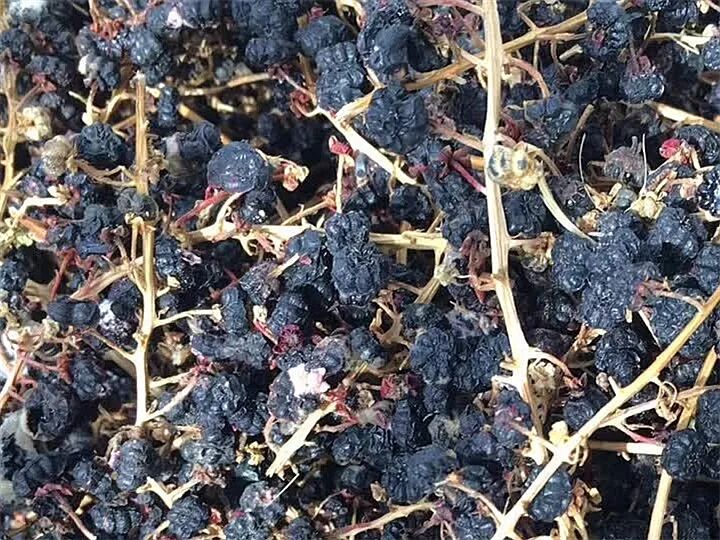 这种花有毒，别乱碰、别乱吃，家里有小孩更要注意！