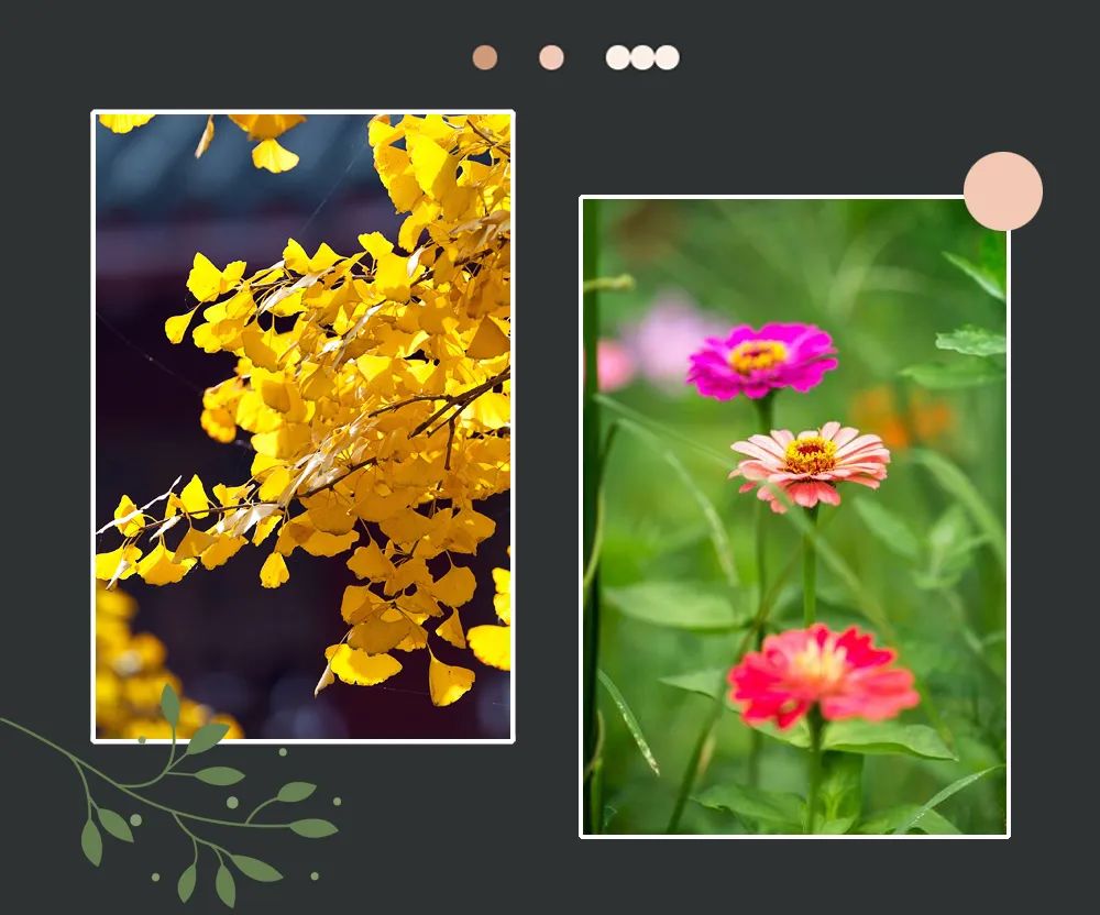 周智虚道长简历