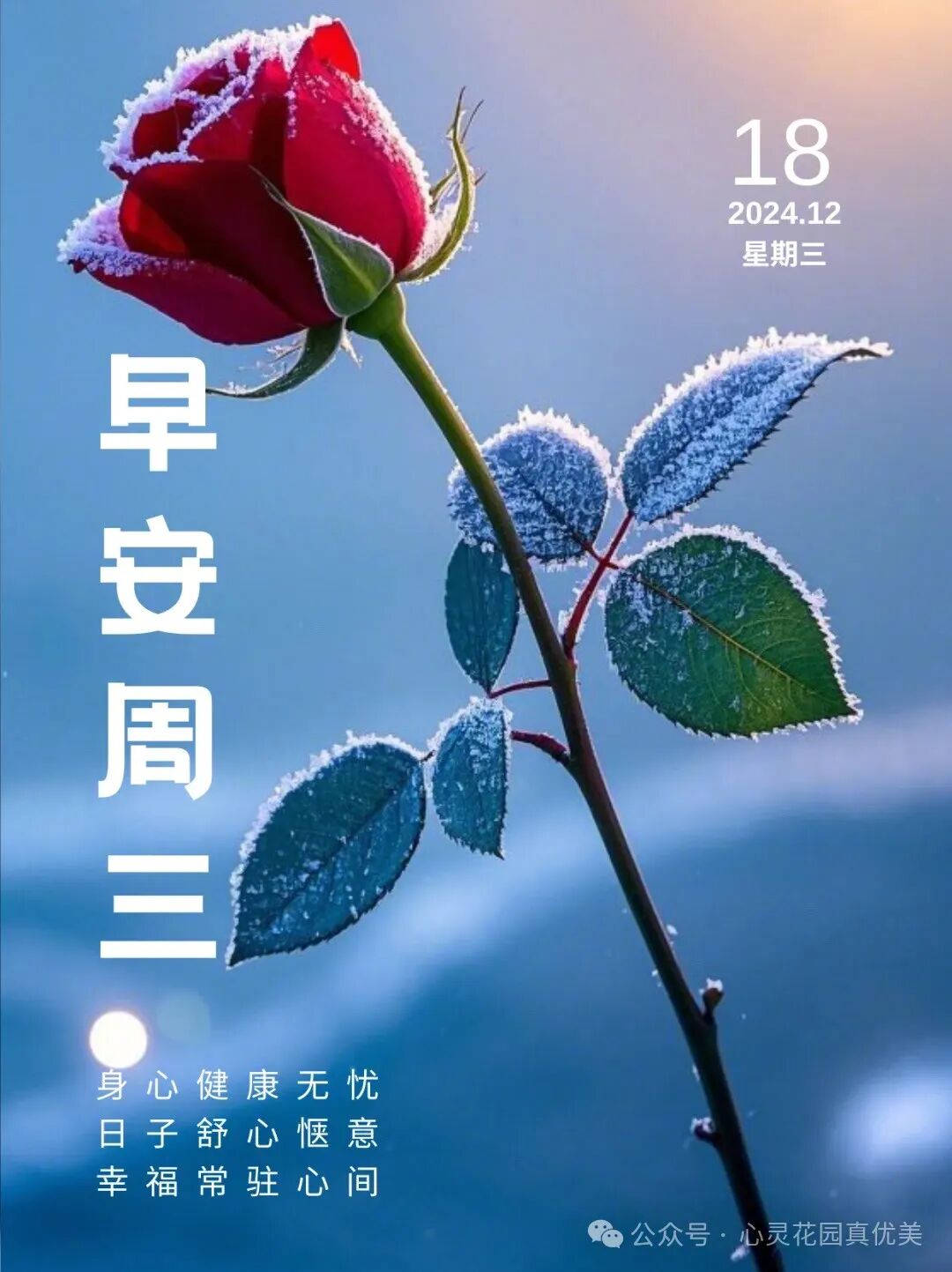 贡巴藏蜜多少钱一盒