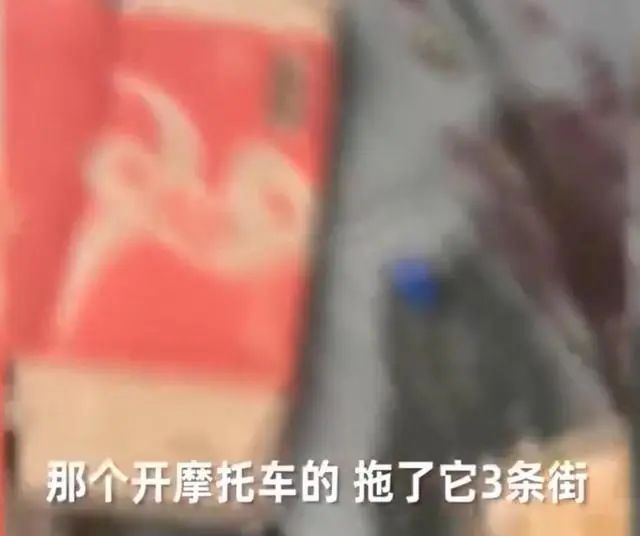 男子綁寵物小狗用摩托車瘋狂拖行3條街，被截停後仍一臉怪笑 寵物 第5張